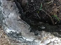 Geode 4.webp