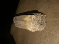20180529_154917.webp