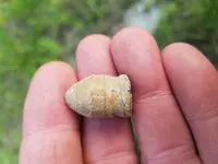 20180703_201144.webp