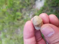 20180703_202203.webp
