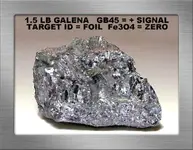 1.5 GALENA ORE DEFRAME SS17BB.webp
