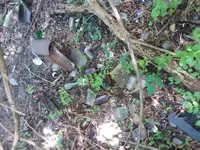 20180607_110746.webp