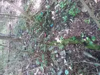 20180607_110645.webp