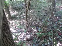20180607_110652.webp