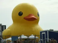 DSCN5749.webp