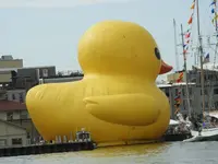 DSCN5706.webp