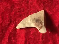Stone Awl Rock Shelter Back 5-5-18.webp