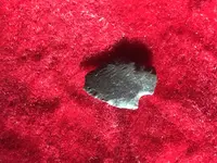 Scallorn Rockshelter Back 5-5-18.webp