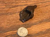 Blade Sheath (Near Vine) 1.webp