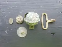 20180723_114049.webp