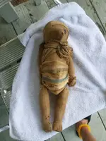 12346-MMS-1531502972569-attachment1-2018071395132601[1].webp