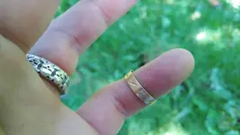 2018062495103607.webp 2018062495103607.webp