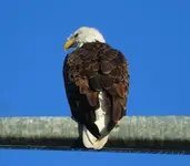 K1600_001.webp