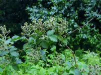 K1600_011.webp