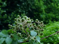 K1600_012.webp