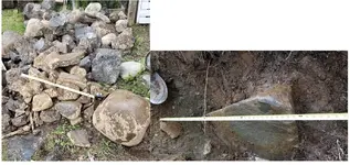 rock2.webp