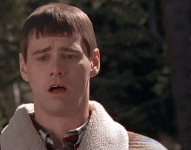 5.gif