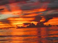 003 (Small).webp