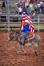 July 4 donkey-cowboy.jpg