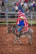 July 4 donkey-cowboy.webp