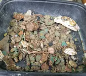 20180530_151448.webp 20180530_151448.webp