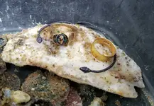 20180530_151452.webp 20180530_151452.webp