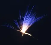 DSCN5291.webp