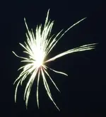 DSCN5293.webp