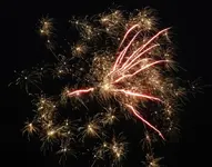 DSCN5295.webp