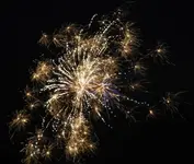 DSCN5296.webp