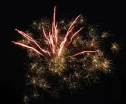 DSCN5297.webp