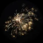 DSCN5298.webp