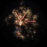 DSCN5299.webp