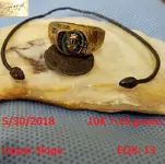 DocBeav 2018 Gold Ring #14.webp DocBeav 2018 Gold Ring #14.webp