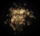 DSCN5300.webp