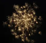 DSCN5302.webp