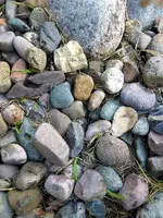 yard stones1.webp yard stones1.webp