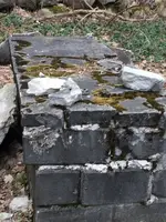 ImageUploadedByTreasureNet.com1531685944.745163.webp