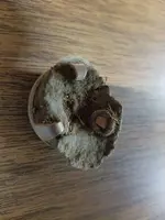 20180626_111032.webp