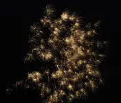 DSCN5304.webp