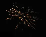 DSCN5305.webp