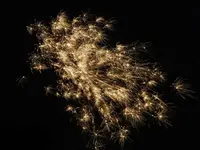 DSCN5306.webp