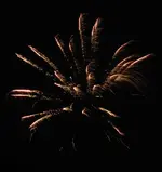 DSCN5307.webp
