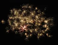 DSCN5310.webp