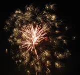 DSCN5312.webp