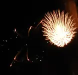 DSCN5329.webp