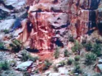 B2B01980-4606-4CE9-84D8-3BDFF81F8ED9.webp