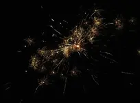 DSCN5317.webp