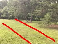 park.webp park.webp