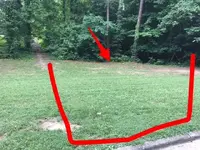 park 3.webp